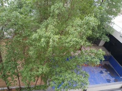 Balcony Image of 2400 Sq.ft 3 BHK Apartment / Flat for sale in Akota Vadodara for Rs. 9500000