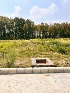 Bhauwala Plot View 2