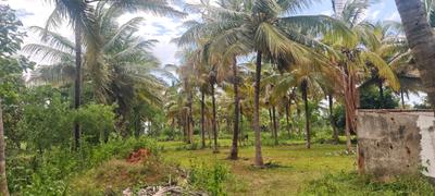 Image of 139392 Sq.ft Residential Plot / Land for sale in Nanjangud, Mysore for Rs. 35000000