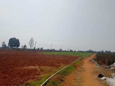 Sunshine D Greens Plot View 2