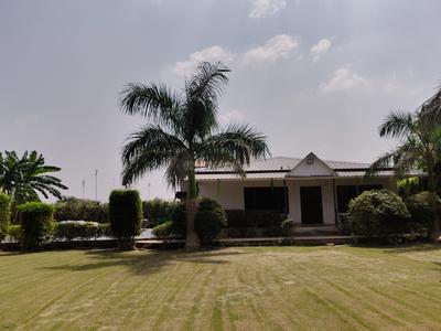 Image of 9072 Sq.ft 2 BHK Farm House for sale in Dkrrish Green Beauty Farms, Sector 135, Noida for Rs. 12500000