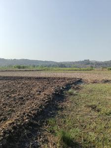 Image of 10000 Sq.ft Residential Plot / Land for sale in Koproli, Uran Taluka, Navi Mumbai for Rs. 1200000