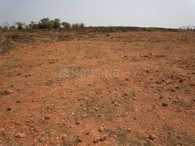 Uchhepota Main Image 1