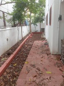 Image of 1500 Sq.ft 3 BHK Villa for rent in Wakad, Pune for Rs. 50000