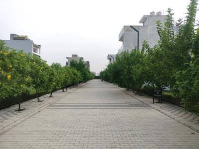 Image of 104 Sq.ft Residential Plot / Land for sale in Mansha Oaks, Sector 98, Faridabad for Rs. 12600000