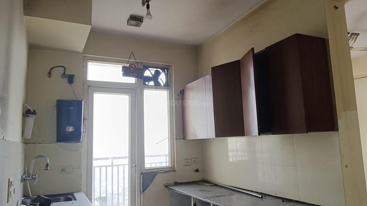 Niho Hi Bird Scottish Garden Main Image 1