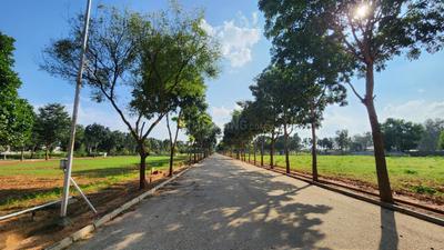 Devanahalli Plot View 2