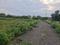 Wagholi Main Image 1