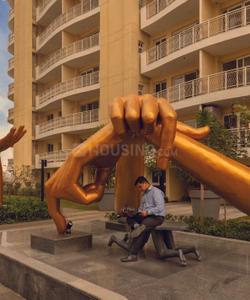 Image of 1300 Sq.ft 2 BHK Apartment / Flat for sale in BPTP Terra, Sector 37D, Gurgaon for Rs. 18000000