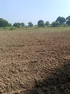Image of 500 Sq.ft Residential Plot / Land for sale in Sector 97, Mohali for Rs. 39000000