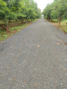 Image of 2605 Sq.ft Residential Plot / Land for sale in Karjat, Thane for Rs. 3000000