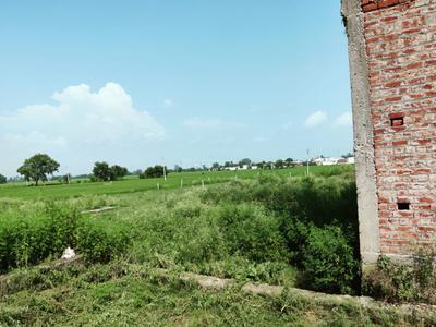 Image of 1400 Sq.ft Residential Plot / Land for sale in Bishnah, Jammu for Rs. 3600000