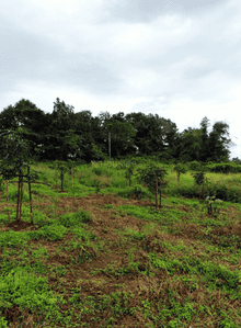 Image of 21780 Sq.ft Residential Plot / Land for sale in Murbad, Thane for Rs. 3500000