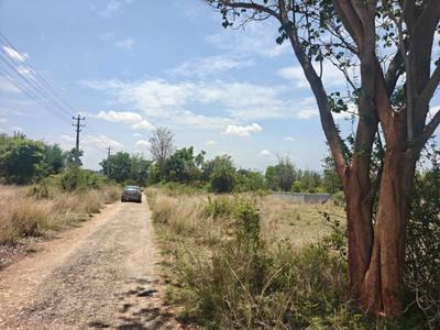 Ivc Road Plot View 3