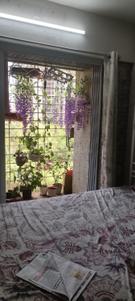 Bedroom Image of 451 Sq.ft 1 BHK Apartment / Flat for sale in HDIL Dreams Co-operative Housing Society, Bhandup West Mumbai for Rs. 12500000