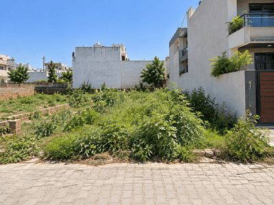 Image of 1650 Sq.ft Residential Plot / Land for sale in Ambala Cantt, Ambala for Rs. 3300000