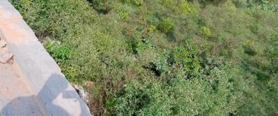 Image of 200 Sq.ft Residential Plot / Land for sale in Yeida, Greater Noida for Rs. 10000000