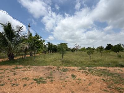 Residential Plot