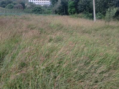 Image of 14399 Sq.ft 10 BHK Builder Floor for sale in Theog, Shimla for Rs. 8000000