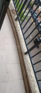 Balcony Image of 690 Sq.ft 1 BHK Apartment / Flat for rent in Arun Krishna Prestige, Mira Road East Mira Bhayandar for Rs. 22000
