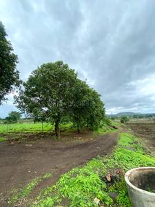 Image of 10780 Sq.ft Residential Plot / Land for sale in Dugaon, Nashik for Rs. 5551000