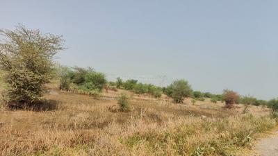 Image of 2097 Sq.ft Residential Plot / Land for sale in Jagatpura, Jaipur for Rs. 11184000