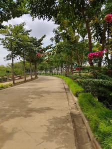 Image of 1500 Sq.ft Residential Plot / Land for sale in Godrej Reserve, Devanahalli, Bengaluru for Rs. 14250000