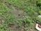 Neelbad Main Image 1