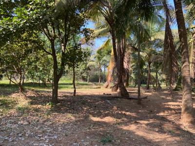 Image of 12000 Sq.ft Residential Plot / Land for sale in Nagaon, Alibag for Rs. 14400000