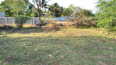 Image of 2400 Sq.ft Residential Plot / Land for sale in Palliagraharam, Thanjavur for Rs. 3000000