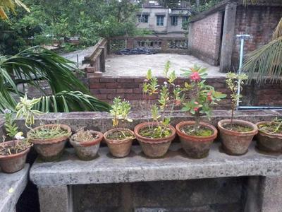 Image of 1260 Sq.ft 2 BHK Independent House for sale in Narendrapur, Kolkata for Rs. 4000000