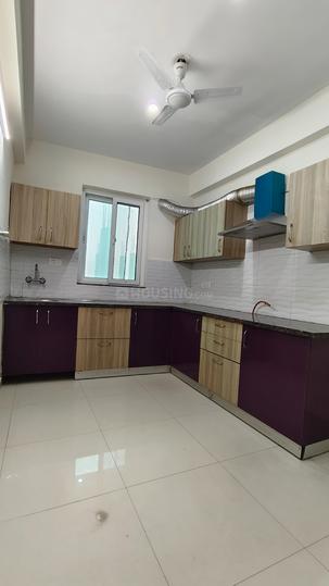 Block C, Sushant Lok Phase 1 Kitchen 1