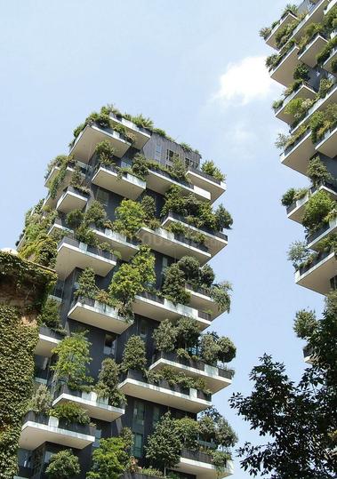 BPTP Amstoria Verti Greens Main Image 1