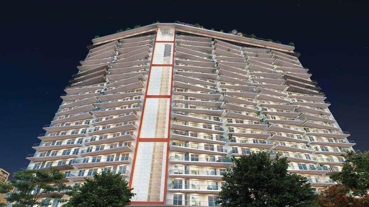 Sare Altura Main Image 1