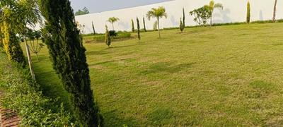 Image of 100 Sq.ft Residential Plot / Land for sale in Mugalpur Urf Aghwanpur Mustahk, Moradabad for Rs. 2200000