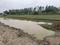 Greater Noida Tilapta Plot View 2