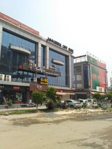 Image of 800 Sq.ft 2 BHK Apartment / Flat for rent in Sahyog Apartments, Pitampura, New Delhi for Rs. 22000