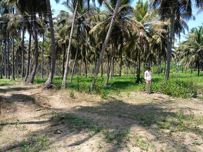 Image of 358499 Sq.ft 3 BHK Farm House for sale in Gudiyatham, Vellore for Rs. 150000000