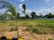 J C K Nagar, Chengalpattu Plot View 2