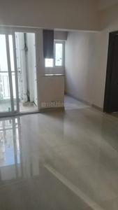 Hall Image of 535 Sq.ft 1 BHK Apartment / Flat for rent in Amrapali Dream Valley 2, Noida Extension Greater Noida for Rs. 15000