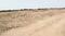 Forest Area Main Image 1