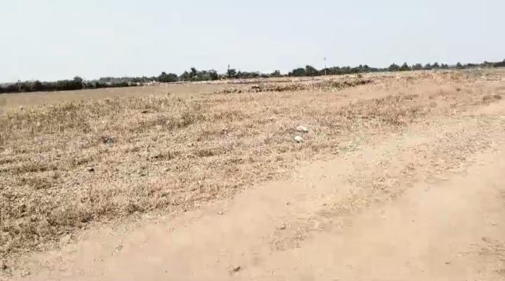 Forest Area Main Image 1