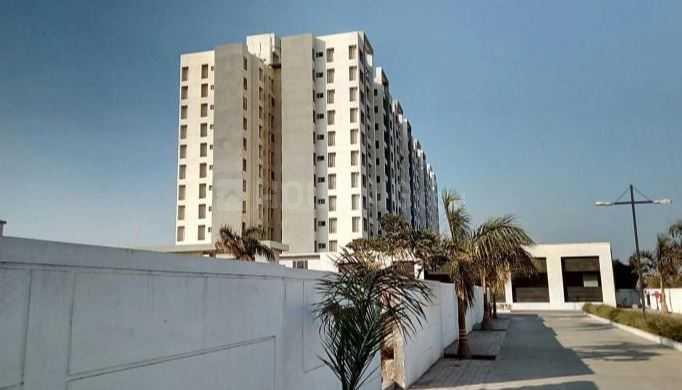 Eisha Zenith Main Image 1