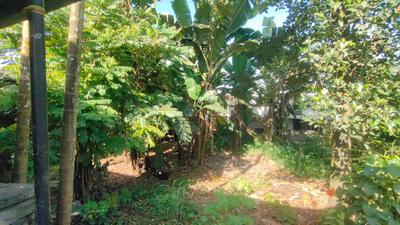 Image of 4355 Sq.ft Residential Plot / Land for sale in Thrikkakara North, Kochi for Rs. 17000000