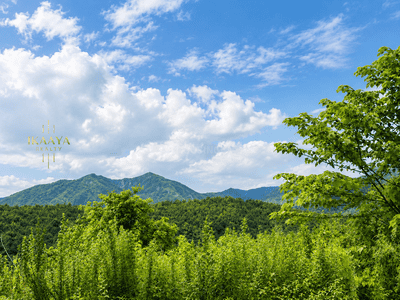 Image of 340 Sq.ft Residential Plot / Land for sale in Rajpur, Dehradun for Rs. 23800000
