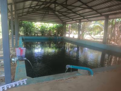 Balcony Image of 370260 Sq.ft 1 RK Farm House for sale in Madampatti Coimbatore for Rs. 45000000