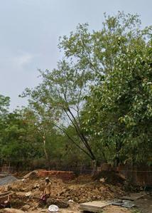 Image of 1620 Sq.ft Residential Plot / Land for sale in Sarkanda, Bilaspur for Rs. 3750000
