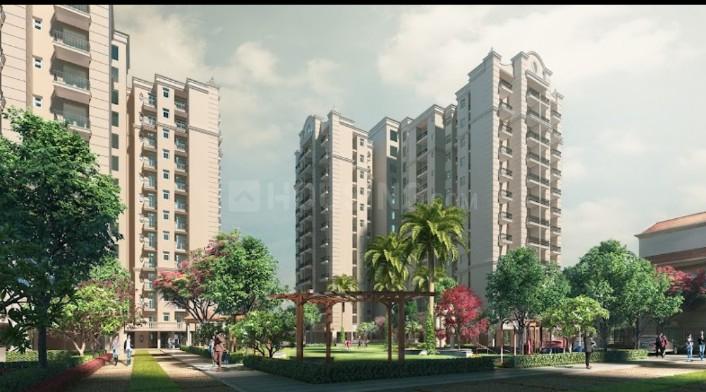 Oro Elements Main Image 1