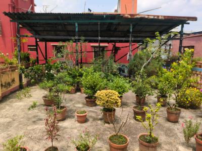 Terrace Image of 1200 Sq.ft 5 BHK Independent House for sale in New Barrakpur Kolkata for Rs. 9500000