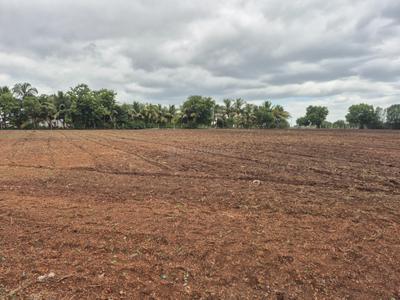 Image of 148000 Sq.ft Residential Plot / Land for sale in Sangli Miraj Kupwad, Sangli for Rs. 83000000